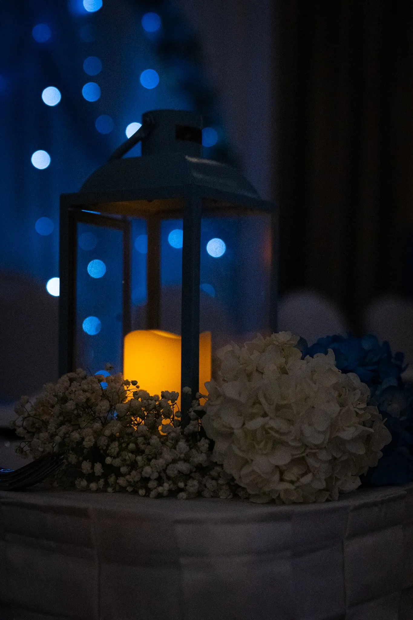 Alison's XV Quinceañera photo 4 by Dallas photographer Rony Lanza