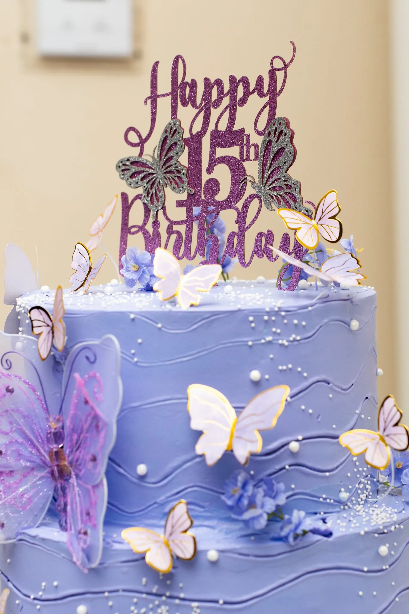 Lizzy's XV Quinceañera photo 4 by Dallas photographer Rony Lanza